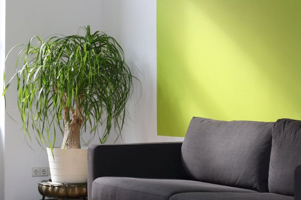 anxiety therapy room therapy office in Chicago for stress management