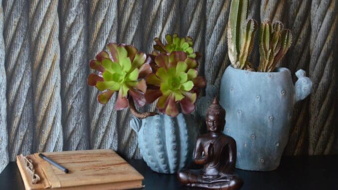 CBT therapy inner peace