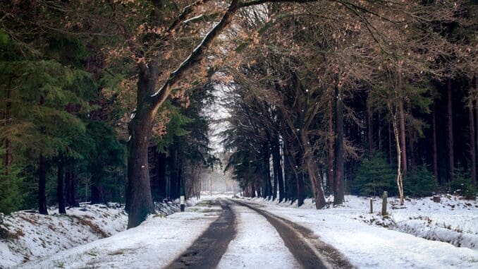 seasonal affective disorder treatment Chicago 
