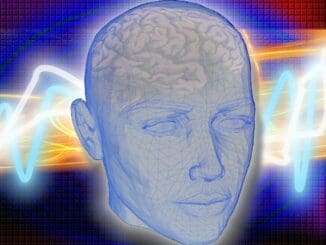 brain mind cbt