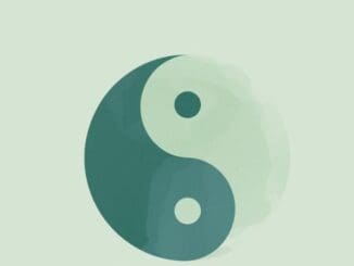 cbt dbt therapy differences chicago therapist explains ying yang
